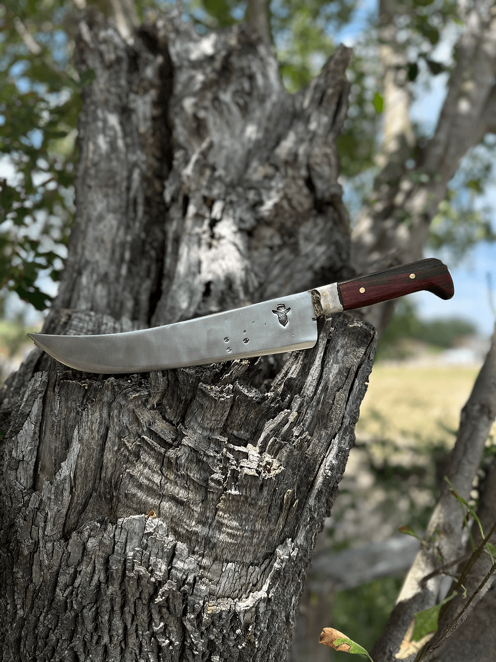 Slicer Knife 10’ (Cocobolo)