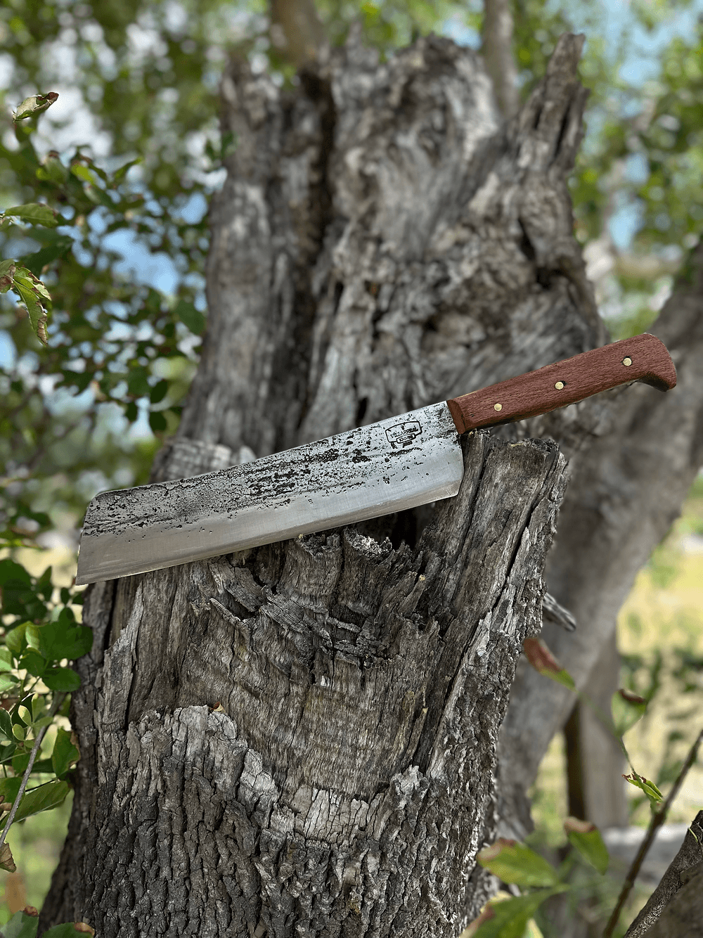 Santo Knife 10’ (Mesquite)