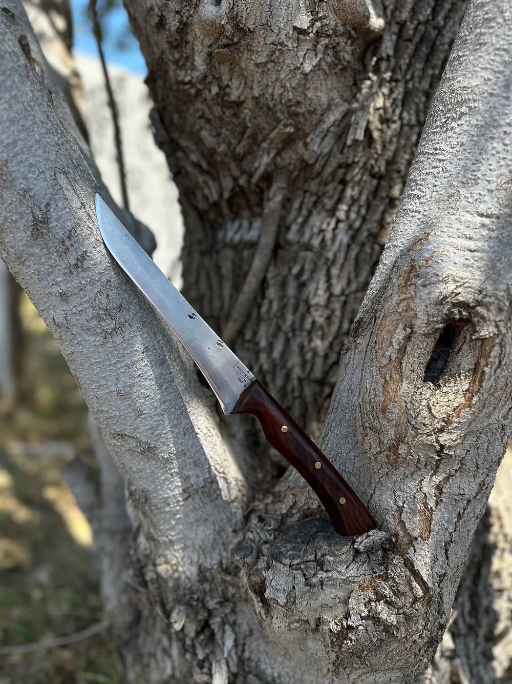 Fileing Knife (Cocobolo)