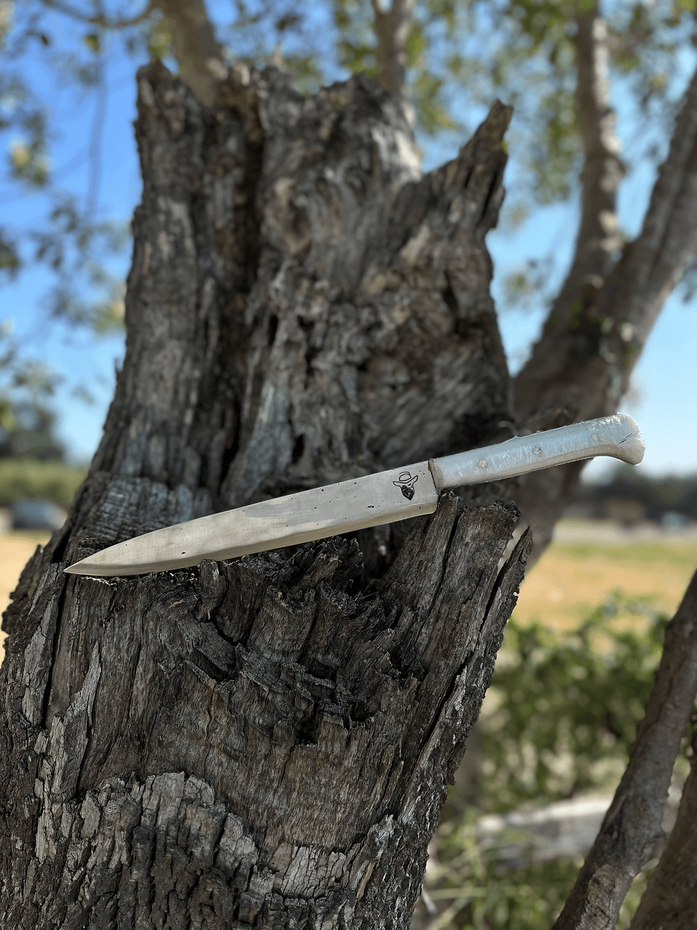 Teppanyaki 10’ (Sanalite)