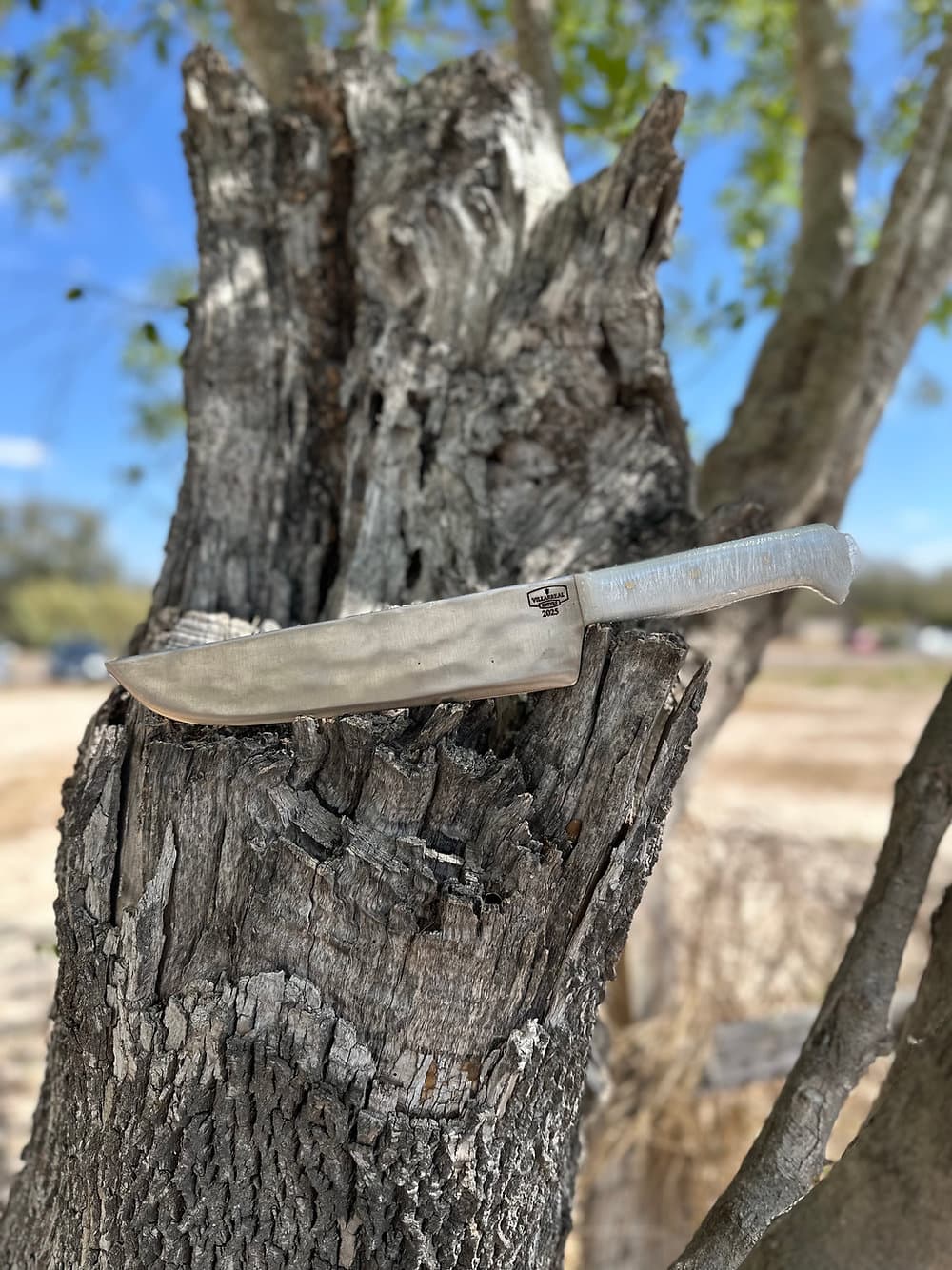 Kitchen 10’ (Sanalite)