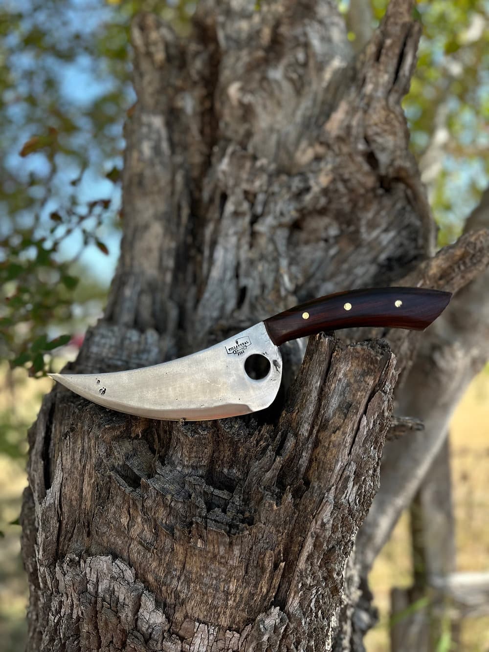 Serbian Knife (Cocobolo)