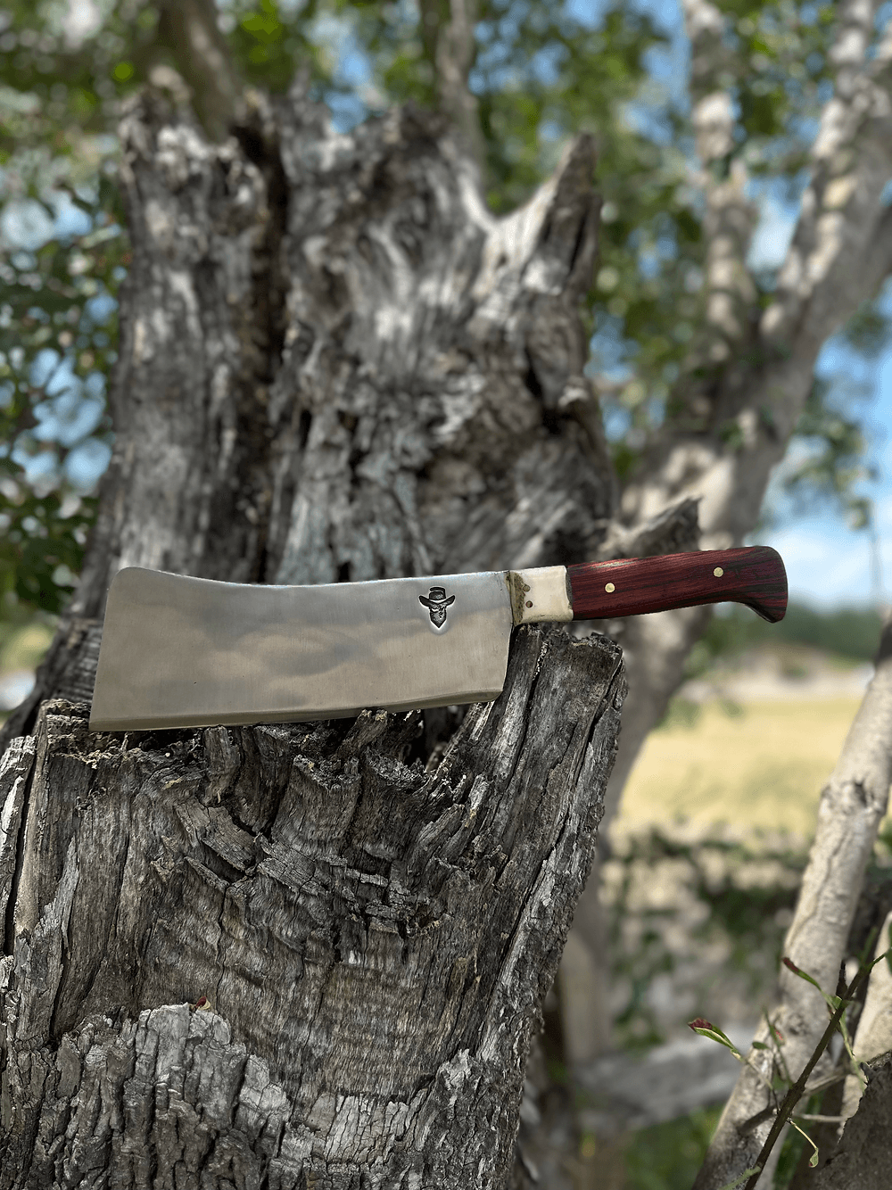 Square Cleaver (Cocobolo)