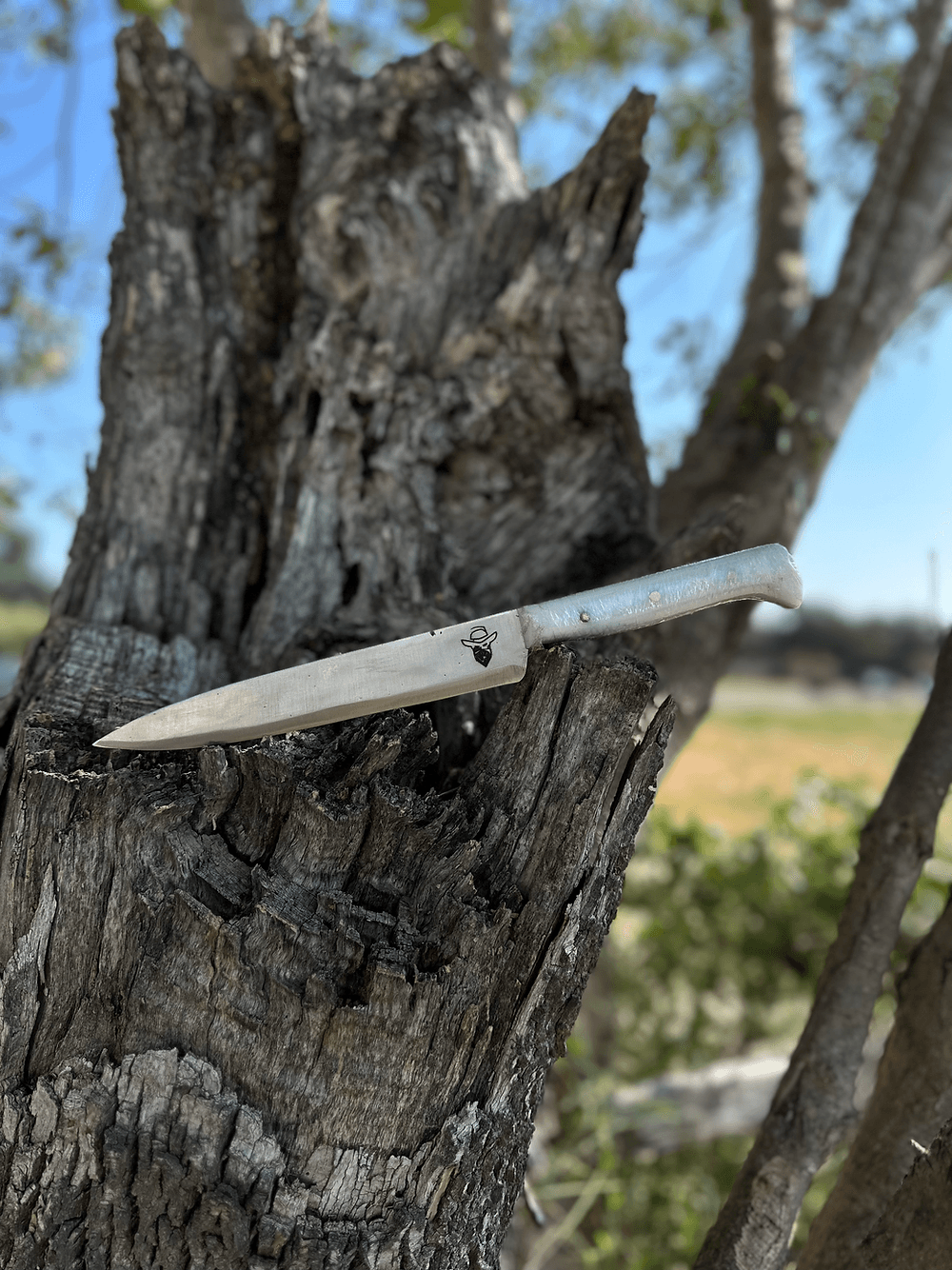 Teppanyaki 8’ (Sanalite)