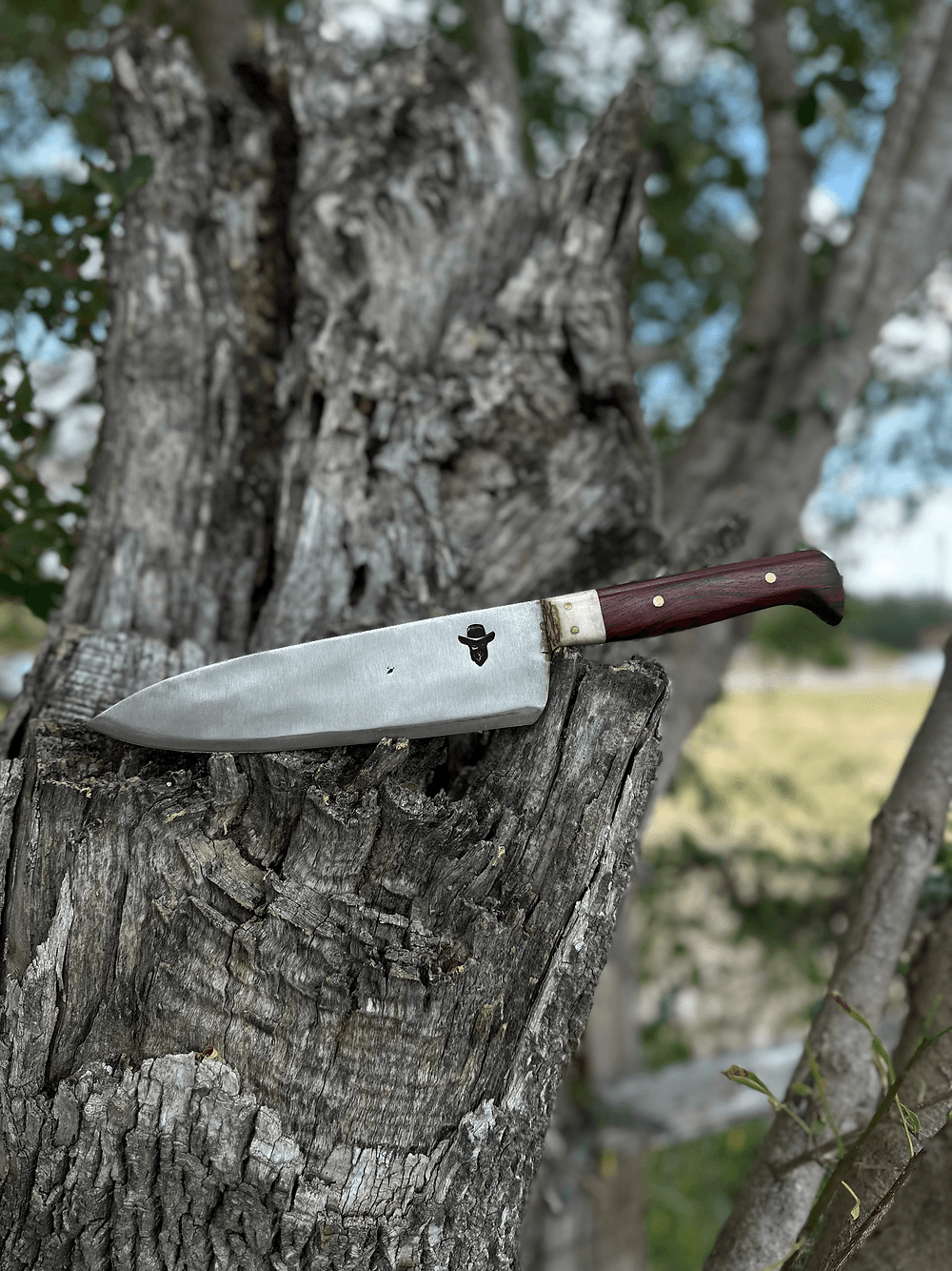 Chef Knife (Cocobolo)