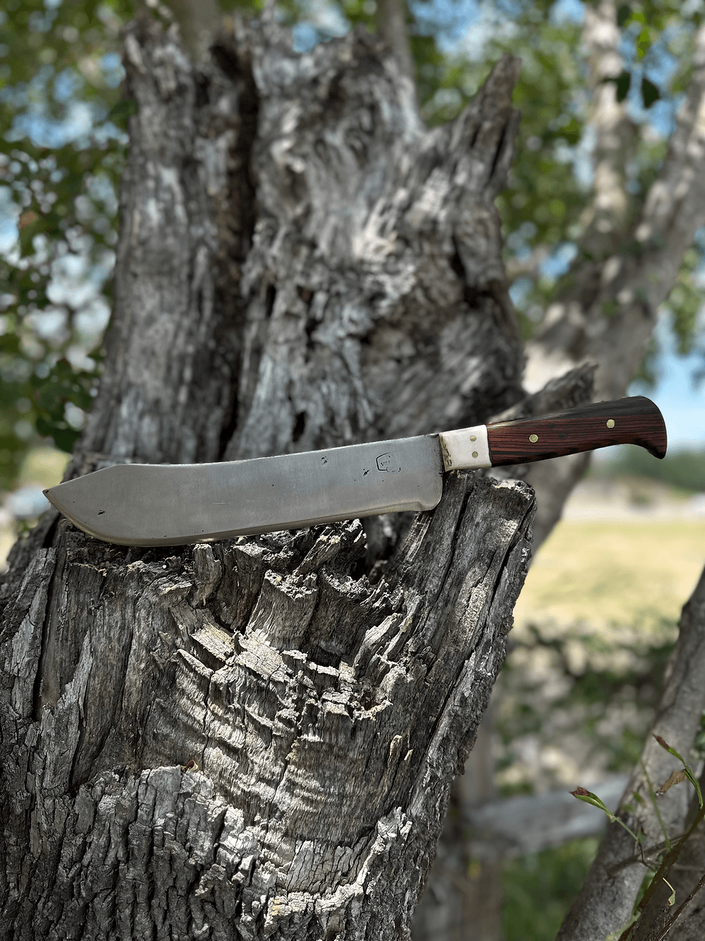 Butcher Knife 10’ (Cocobolo)