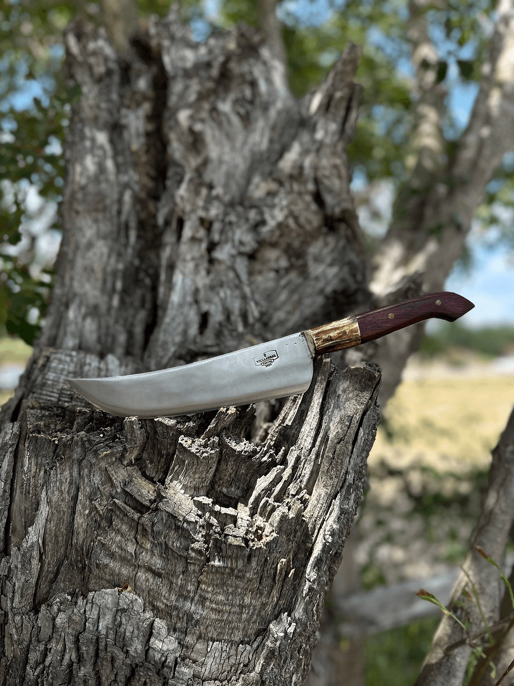 Slicer Knife 8’ (Cocobolo)