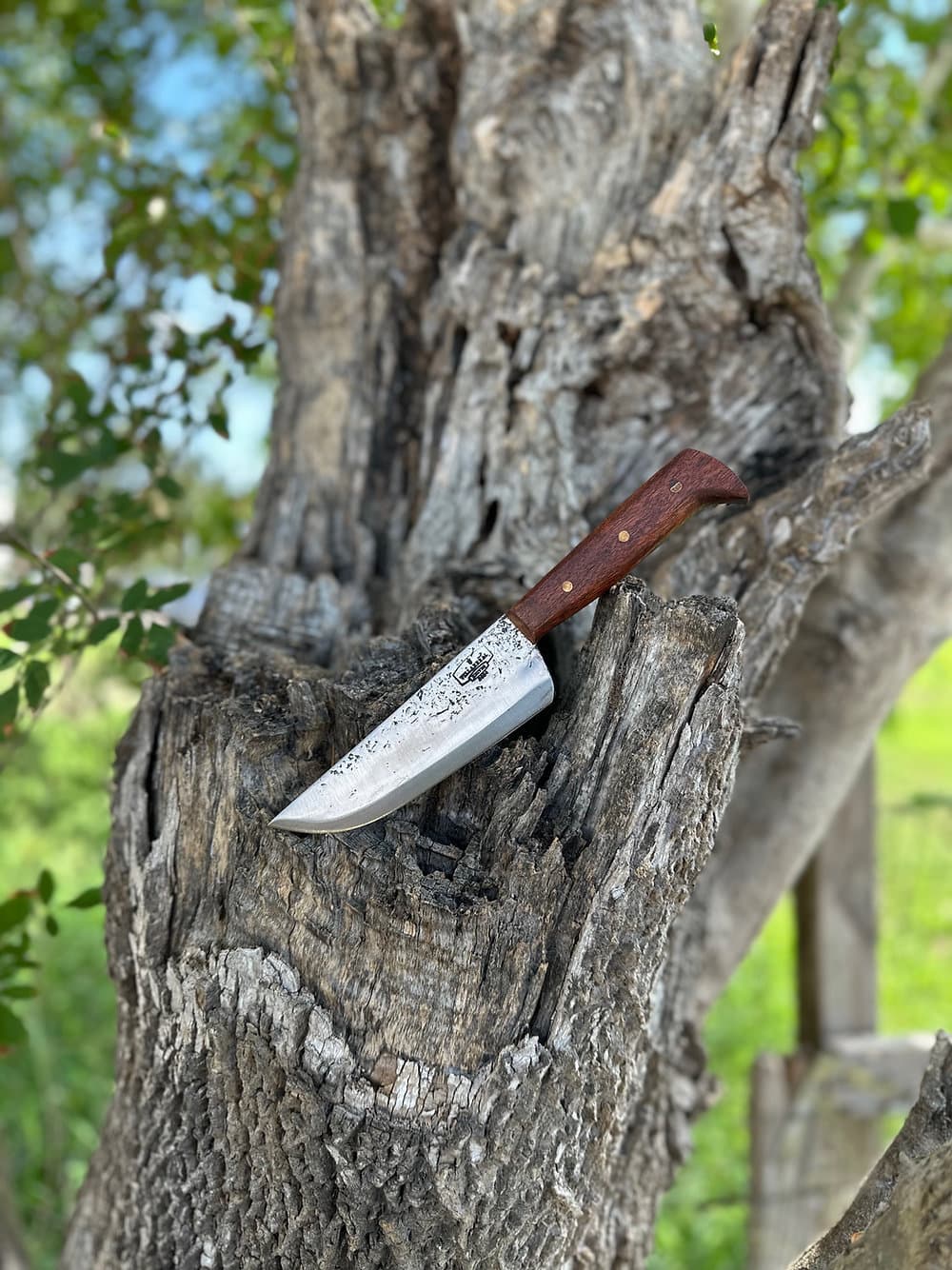 Kitchen Knife 6’ (mesquite)
