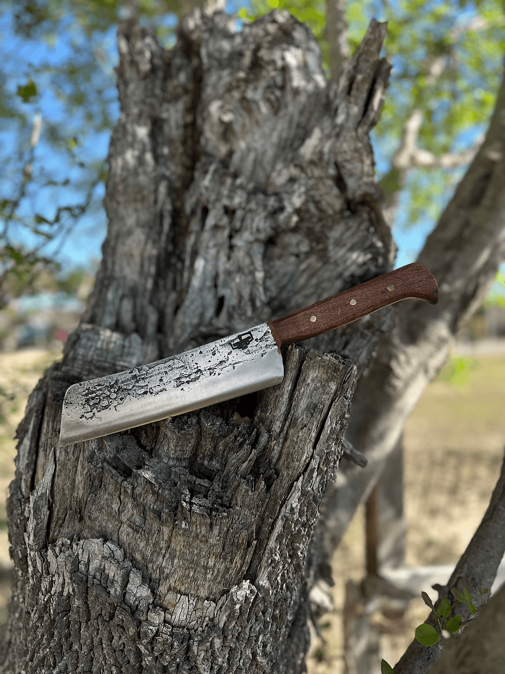Santo Knife 8’ (Mesquite)