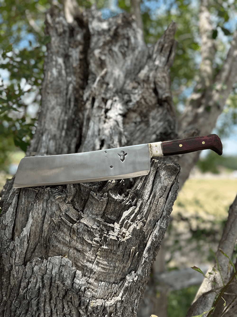 Santo Knife (Cocobolo)