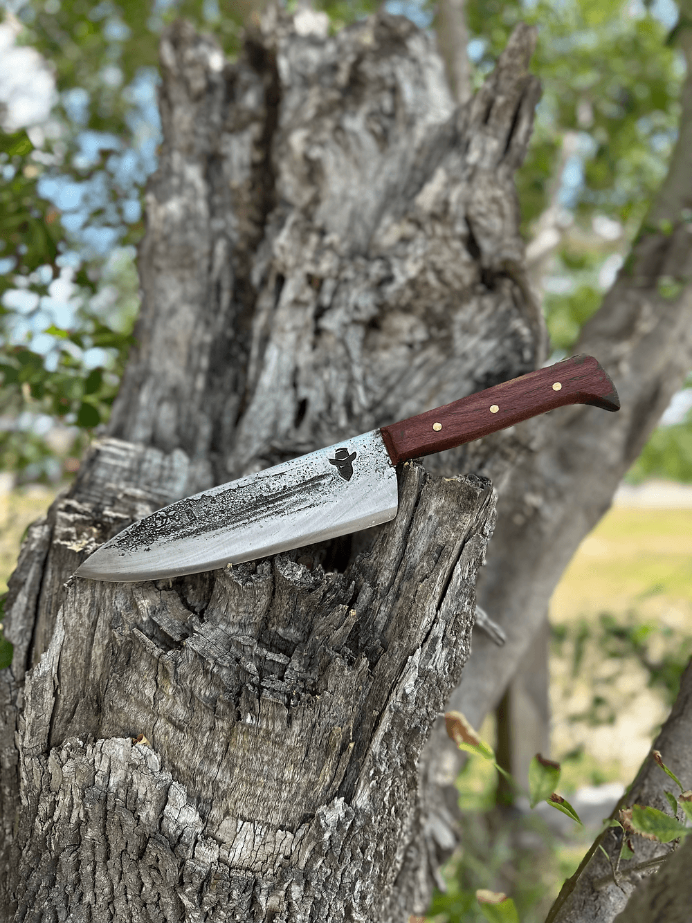 Chef Knife (Mesquite)