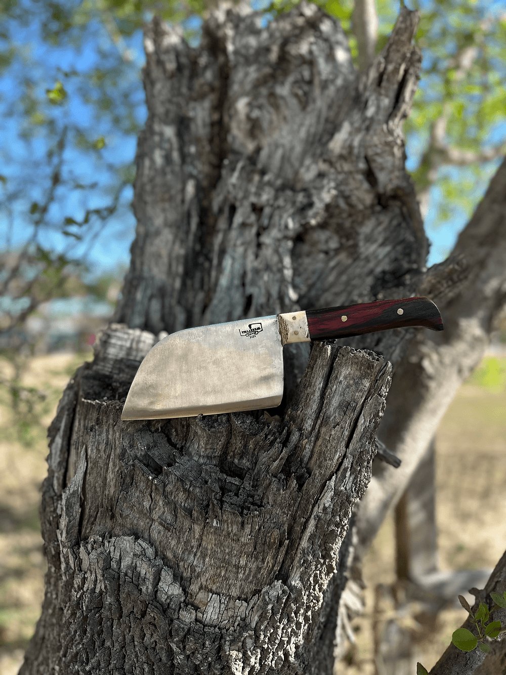 Reverse Cleaver 6’ (Cocobolo)