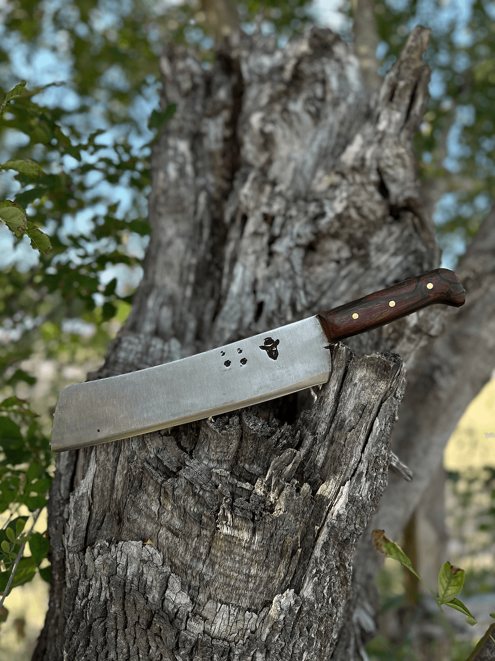 Santo Knife (Ironwood)